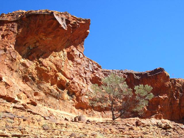 Kings Canyon