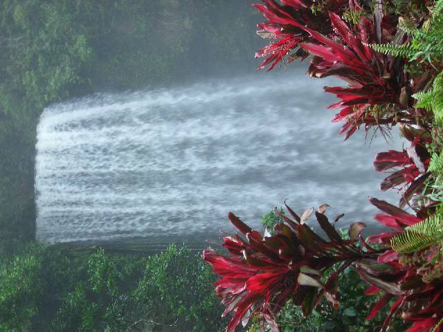 Millaa Millaa Falls