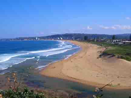 Beach at Narrabeen - apparently it was busy...