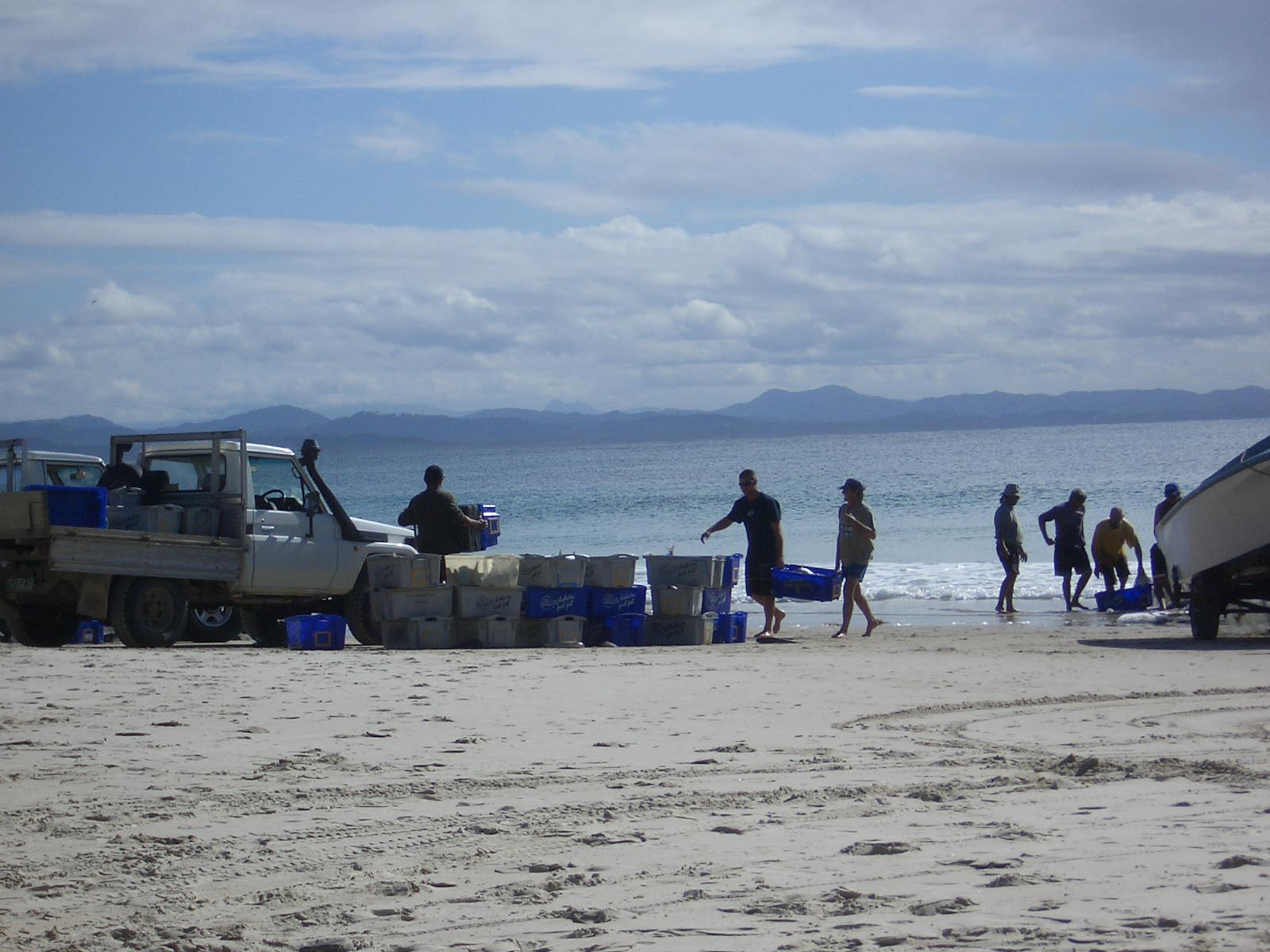 Fishing at Byron Bay