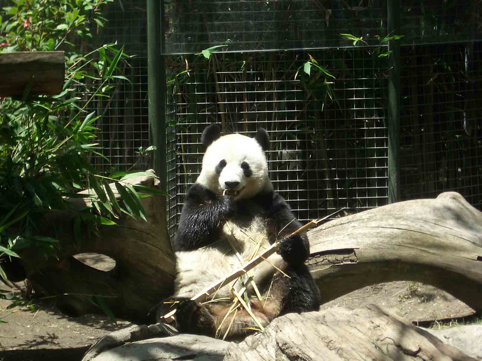 Wanted to take him home - sooooo cute!