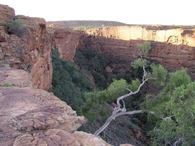 More lovely views of King's Canyon.