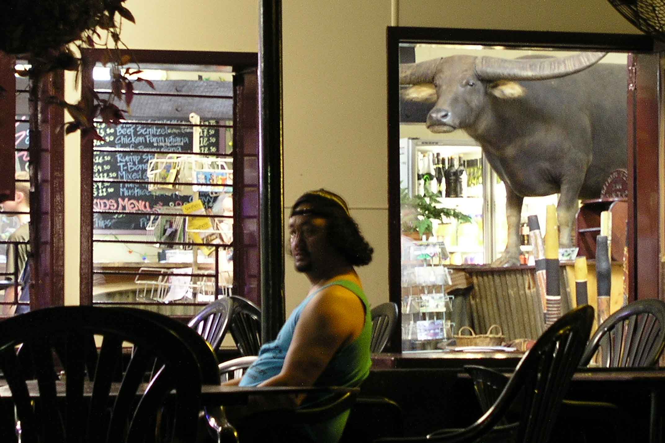 Adeliade River Inn complete with buffalo from Croc Dundee