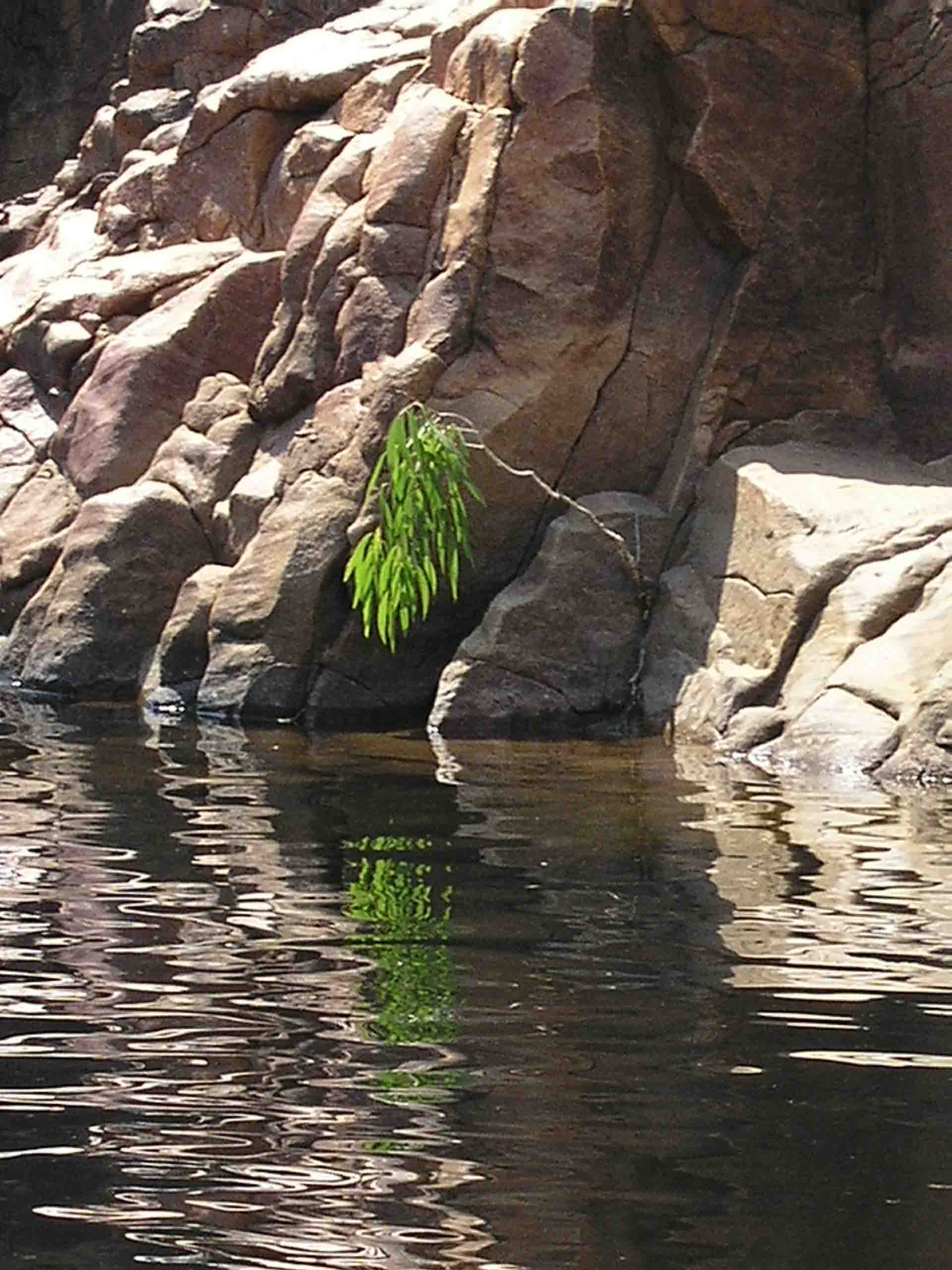 beautiful reflections in Edith Falls