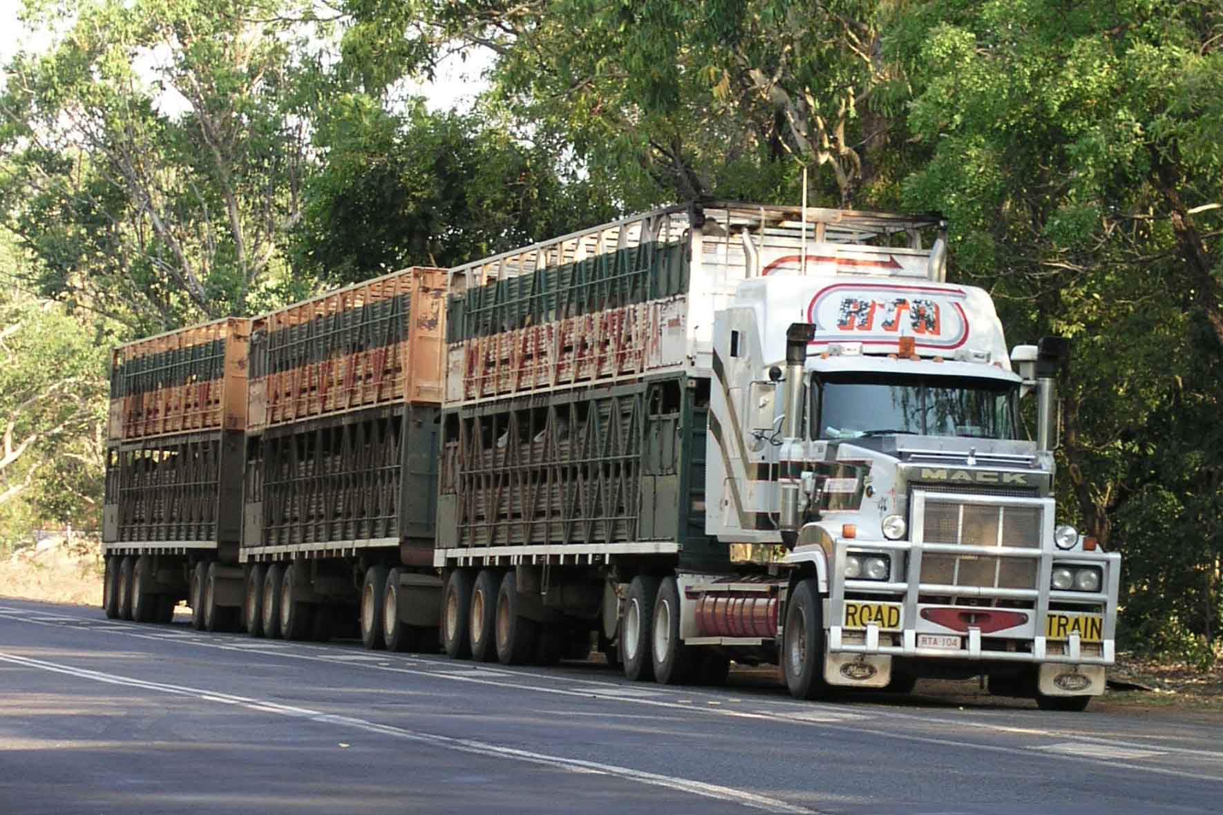 Road Train