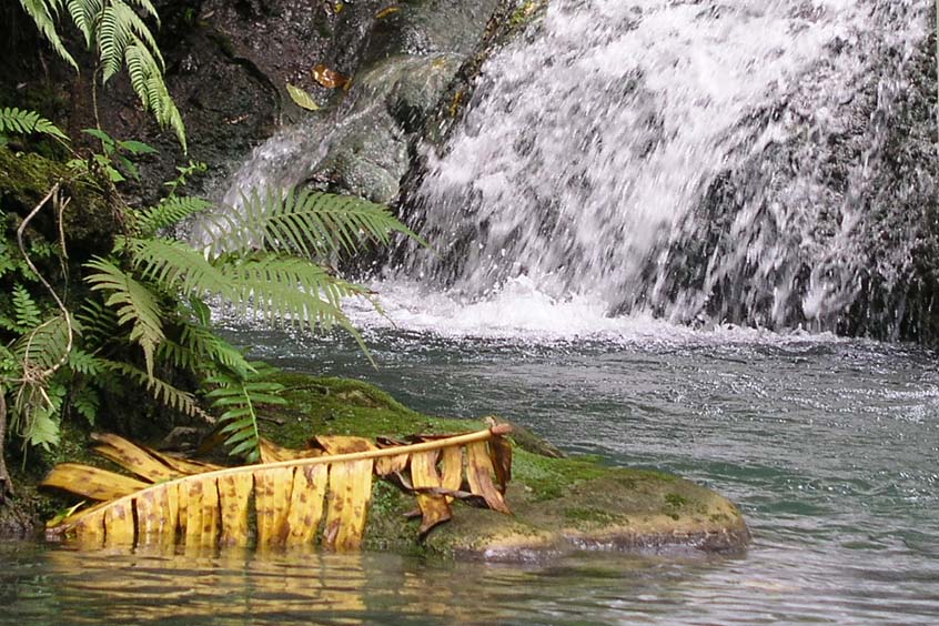Banana leaf in Mele Falls