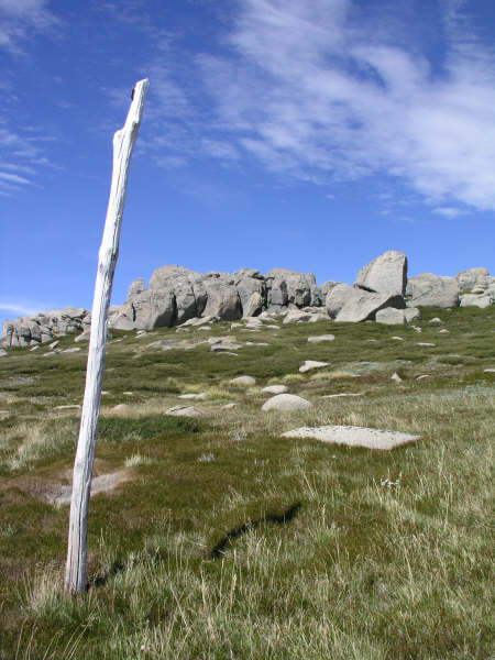 Summit Trail -