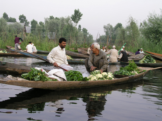 The floating market