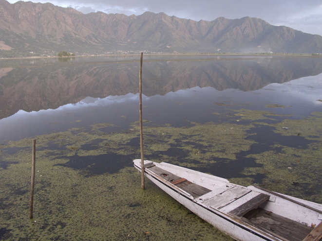 After the rain on Dal Lake