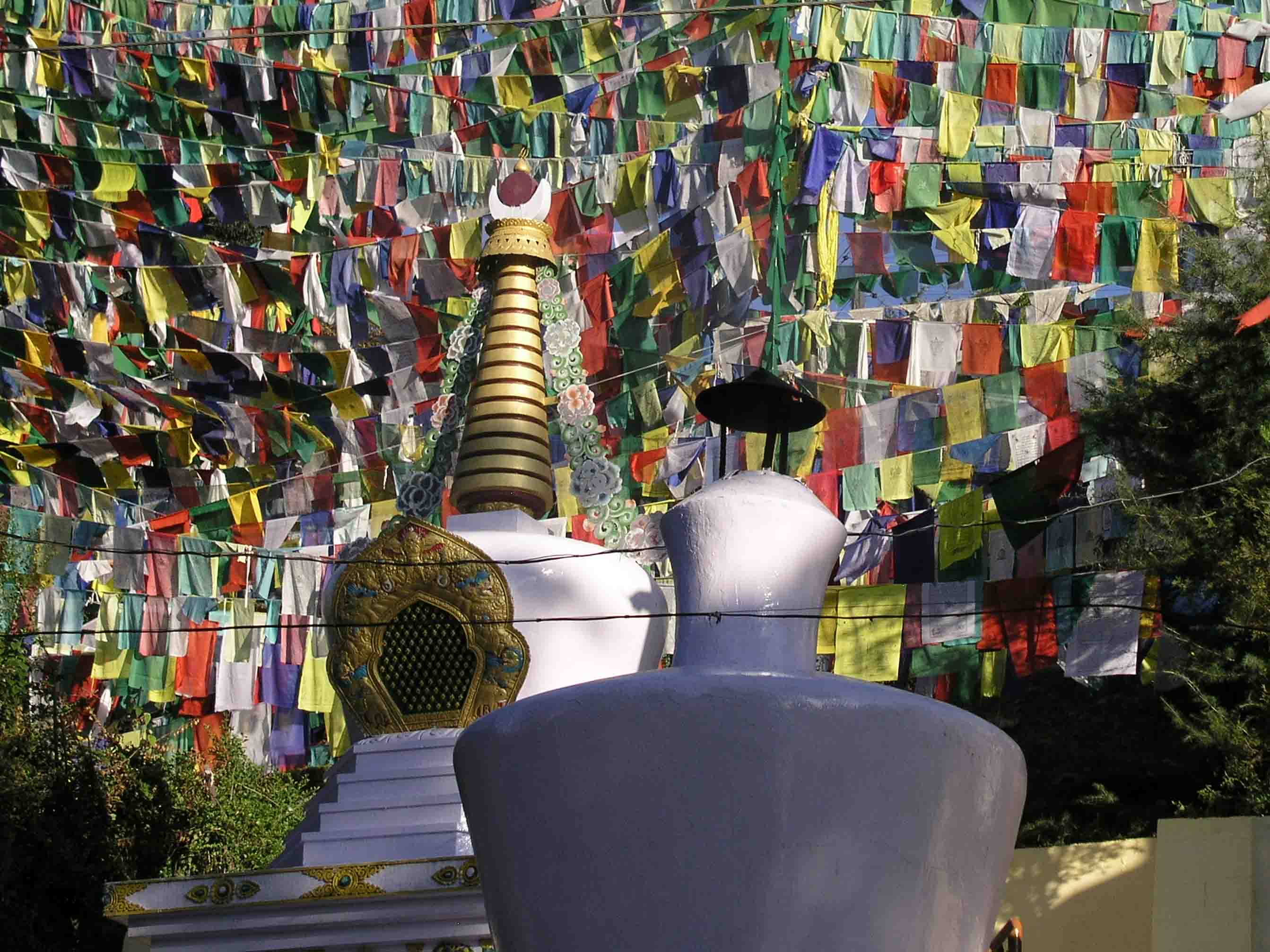 Doing the morning kora at Victory of God Hill, McLeodganj