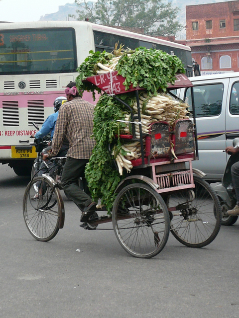 The mooli man