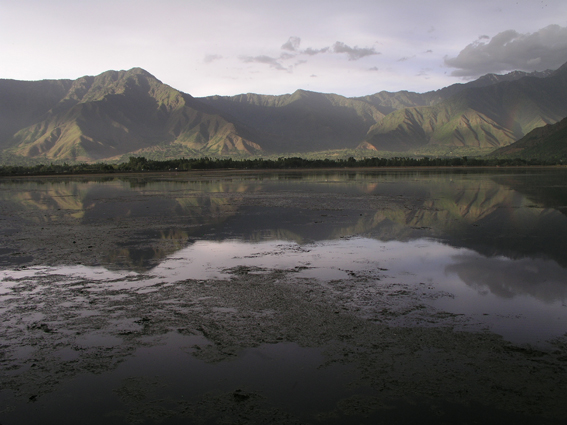 After the rain