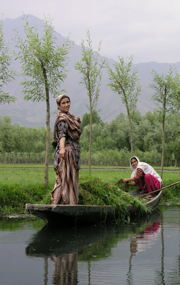 Working on the canals of Dal Lake