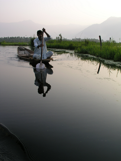 Early morning on Dal Lake