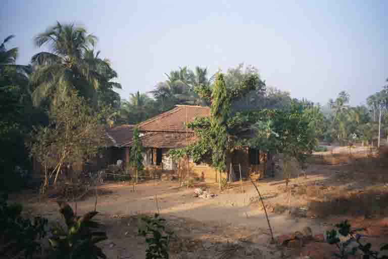 Our neighbours in Benaulim